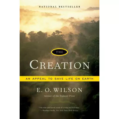 Creation