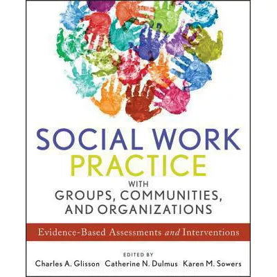 Social Work Practice with Groups, Communities, and Organizations