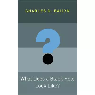What Does a Black Hole Look Like?