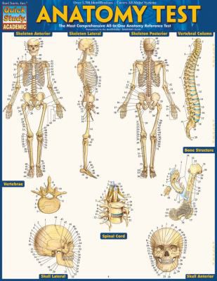 ANATOMY TEST UPDATED