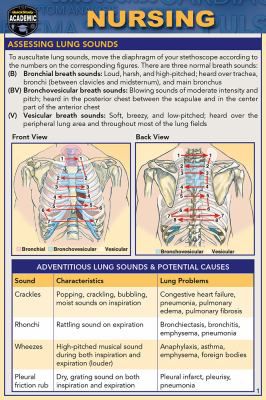 NURSING POCKET